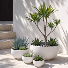 Load image into Gallery viewer, GRANDIOSE WHITE BOWL PLANTER POT