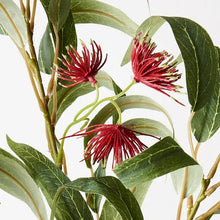 Load image into Gallery viewer, ARTIFICIAL BOTTLEBRUSH SPRAY Sydney's Plant Market