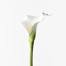 Load image into Gallery viewer, ARTIFICIAL CALLA LILY STEM Sydney's Plant Market