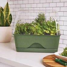 Load image into Gallery viewer, LULA MINI GREENHOUSE Sydney's Plant Market