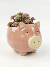 Load image into Gallery viewer, Pig Planter Pink Med 11cm H11x15x12cm