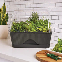 Load image into Gallery viewer, LULA MINI GREENHOUSE Sydney's Plant Market