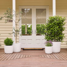 Load image into Gallery viewer, PRAGUE EGG POT Sydney's Plant Market