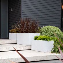 Load image into Gallery viewer, ASHER TROUGH