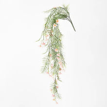 Load image into Gallery viewer, COSMOS HANGING BUSH LIGHT PINK Sydney's Plant Market