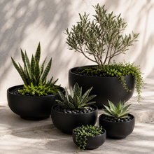 Load image into Gallery viewer, GRANDIOSE BLACK BOWL PLANTER POT