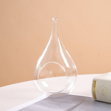 Load image into Gallery viewer, GLASS HANGING BULB PLANTER Sydney's Plant Market