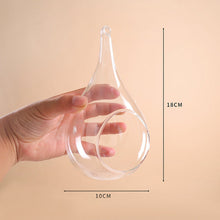 Load image into Gallery viewer, GLASS HANGING BULB PLANTER Sydney's Plant Market