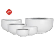 Load image into Gallery viewer, GRANDIOSE WHITE BOWL PLANTER POT