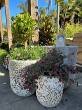 Load image into Gallery viewer, FLINSTONE ATLANTIS POT Sydney's Plant Market