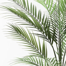 Load image into Gallery viewer, ARTIFICIAL PARLOR PALM Sydney's Plant Market