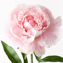 Load image into Gallery viewer, ARTIFICIAL PEONY PINK Sydney's Plant Market