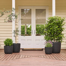 Load image into Gallery viewer, PRAGUE EGG POT Sydney's Plant Market