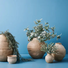 Load image into Gallery viewer, SENECIO HANGING BUSH Sydney's Plant Market