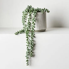 Load image into Gallery viewer, ARTIFICIAL STRING OF PEARLS IN POT Sydney's Plant Market