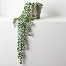 Load image into Gallery viewer, ARTIFICIAL STRING OF PEARLS GREY GREEN Sydney's Plant Market