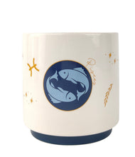 Load image into Gallery viewer, ZODIAC STAR SIGN PLANTER
