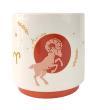 Load image into Gallery viewer, ZODIAC STAR SIGN PLANTER
