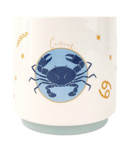 Load image into Gallery viewer, ZODIAC STAR SIGN PLANTER