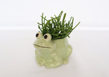 Load image into Gallery viewer, FROG PLANTER LIGHT GREEN