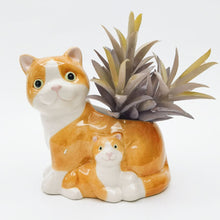 Load image into Gallery viewer, HUGGING CATS PLANTER