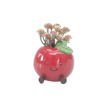 Load image into Gallery viewer, ANNIE APPLE FRIENDS PLANTER POT
