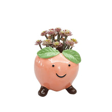 Load image into Gallery viewer, PINKY PEACH FRIENDS PLANTER