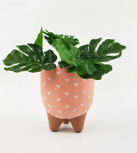 Load image into Gallery viewer, CASSIE PLANTER - Sydney's Plant Market