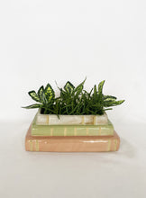 Load image into Gallery viewer, Aspen Book Planter. Pink, Green &amp; White
