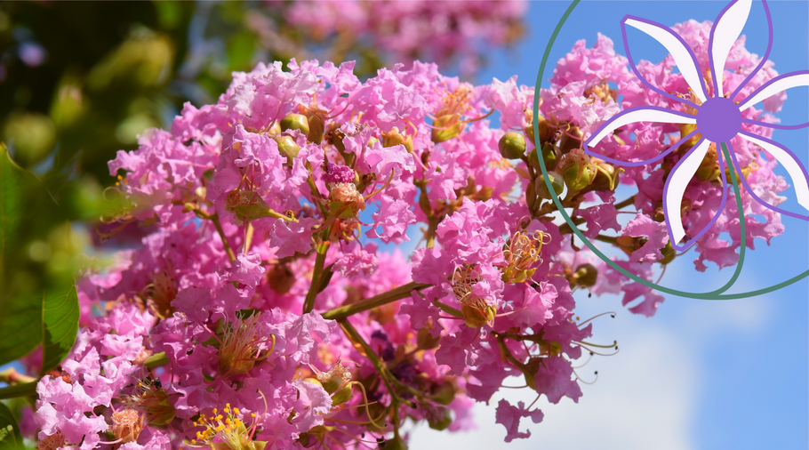 Give your garden the love it needs in December