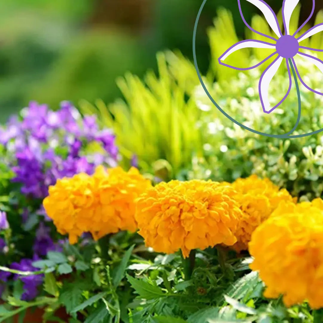 spring gardening