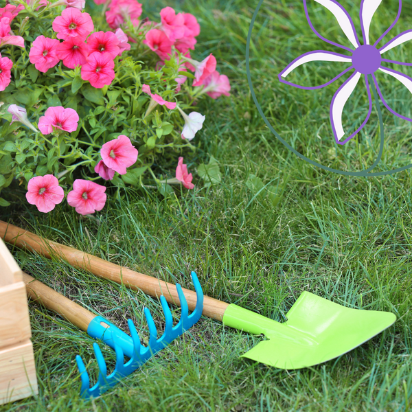 Maintenance in the garden in October