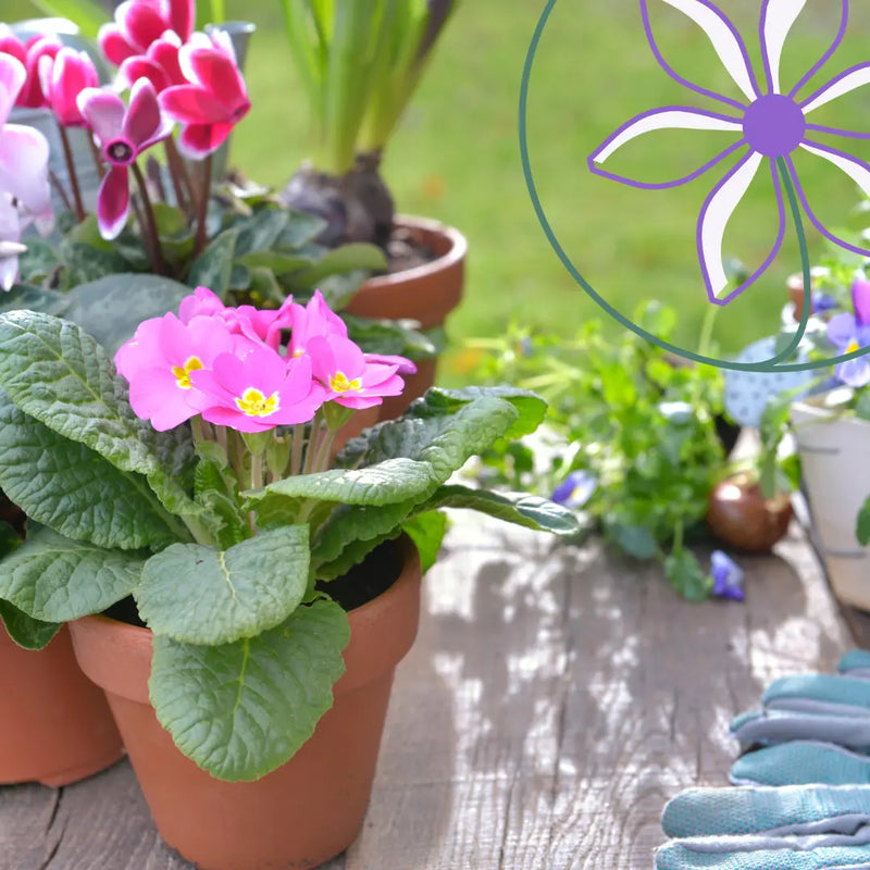 spring-gardens