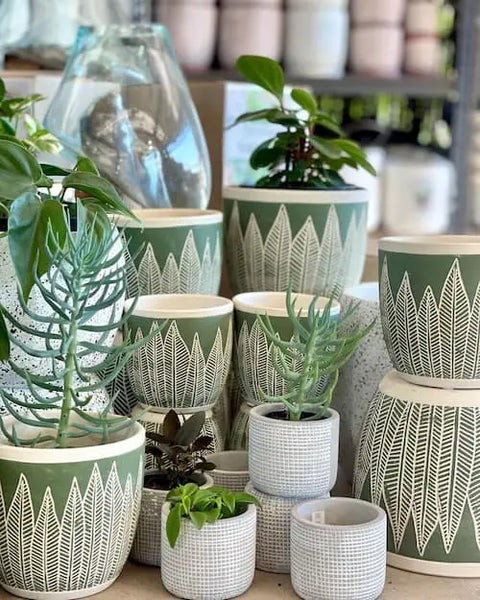 The Plant Lover’s Guide To The Best Nurseries in Sydney - We make it on the list