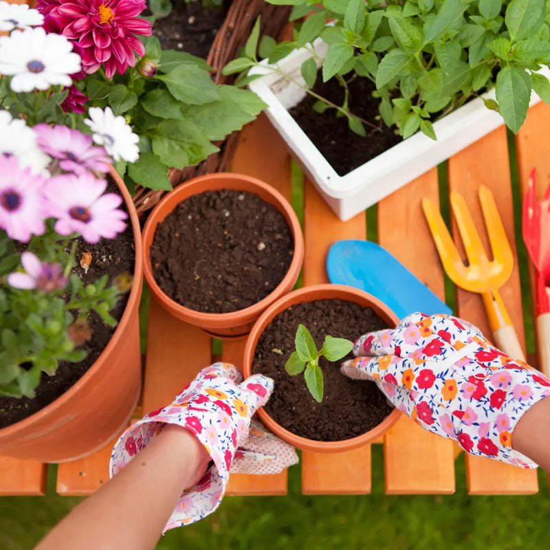 spring gardening