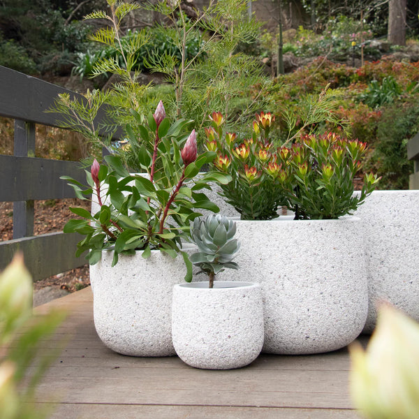 Blooming Business: A Spring Update and our Stunning New Pot Collections