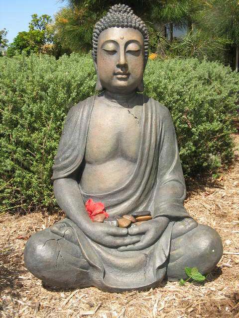 BUDDAH COLLECTION