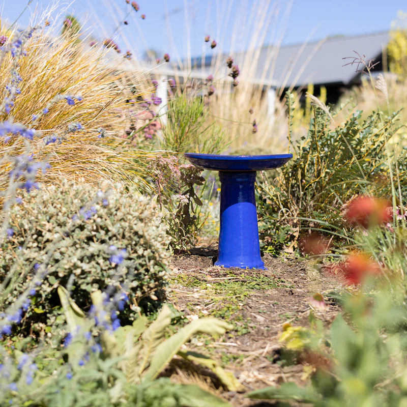 BIRD BATHS & FEEDERS