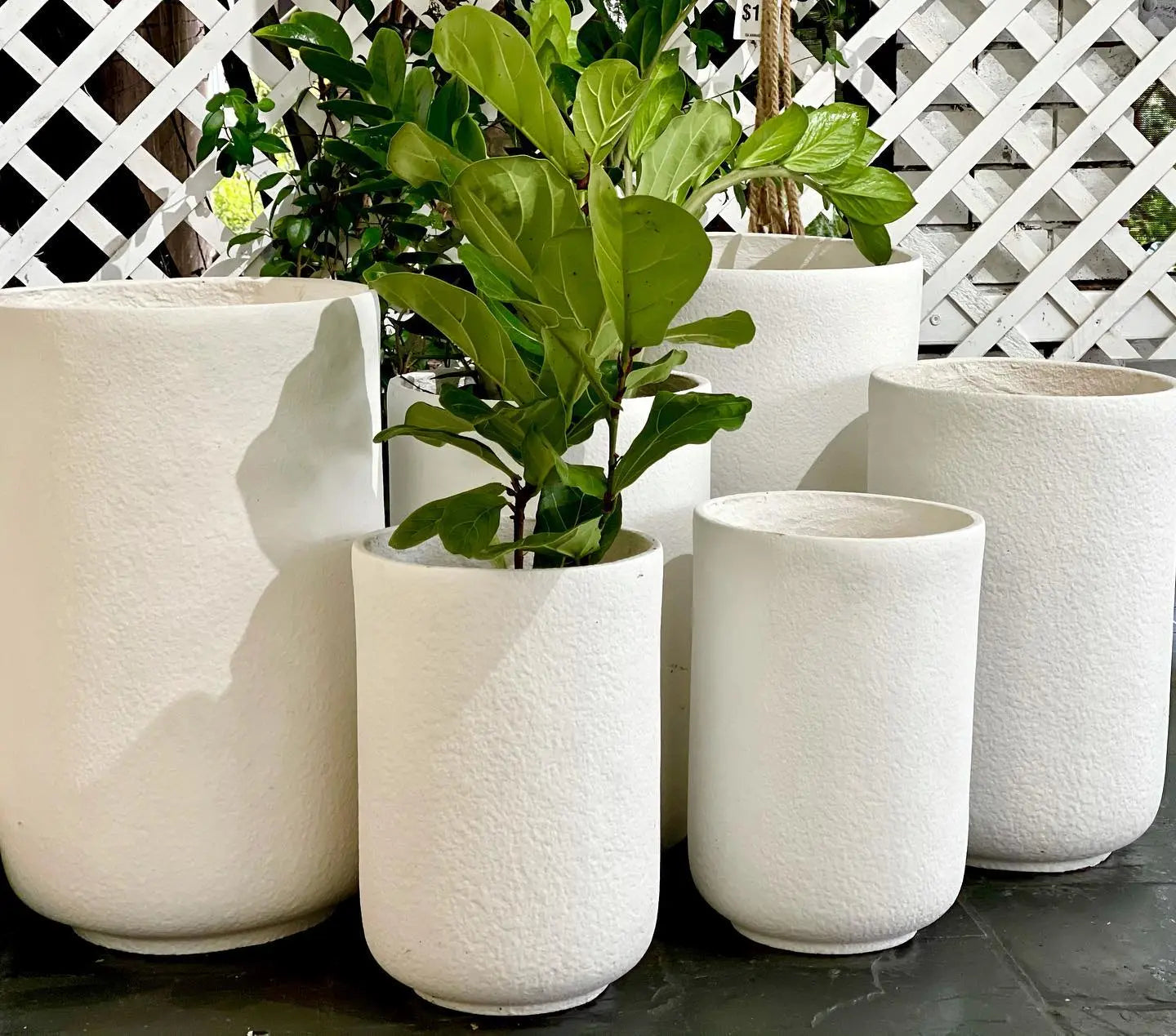 POTS & PLANTERS Sydney's Plant Market
