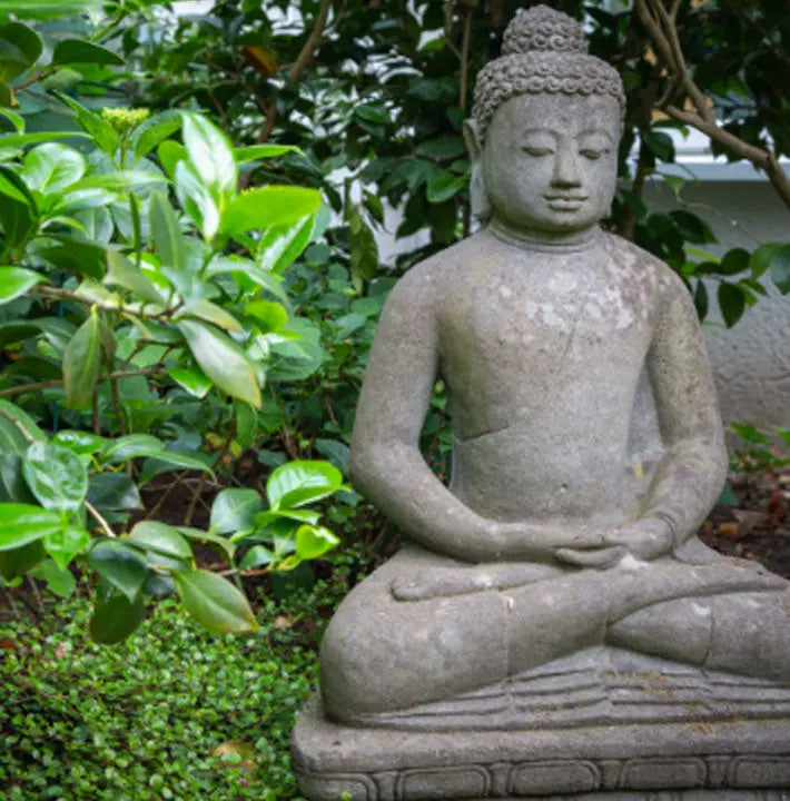 WATER FEATURES, STATUES & BIRD BATHS Sydney's Plant Market