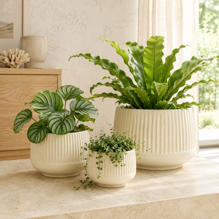 CAPRI RIBBED CREAM POT
