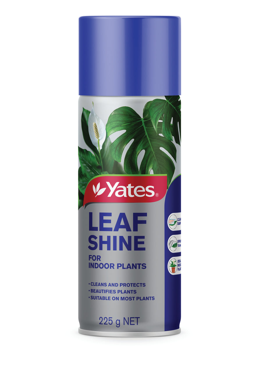 YATES LEAF SHINE AEROSOL 225G