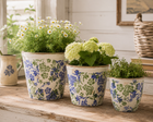 PLANTER BOTANICAL BLUE