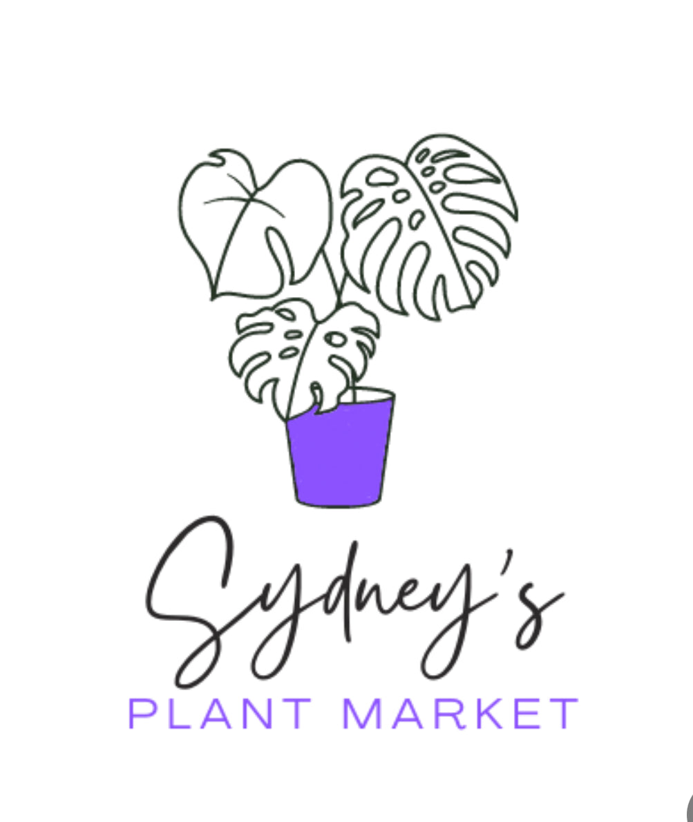 Sydneys Plant Market Sydney's Plant Market