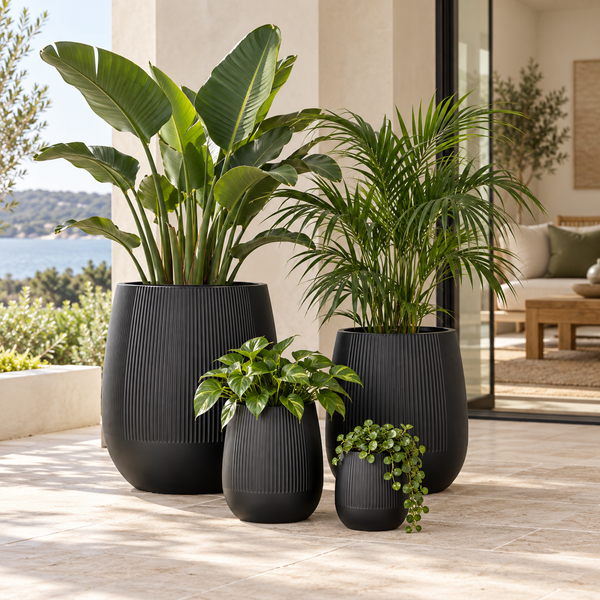 BRIAR TUB BLACK POT PLANTER