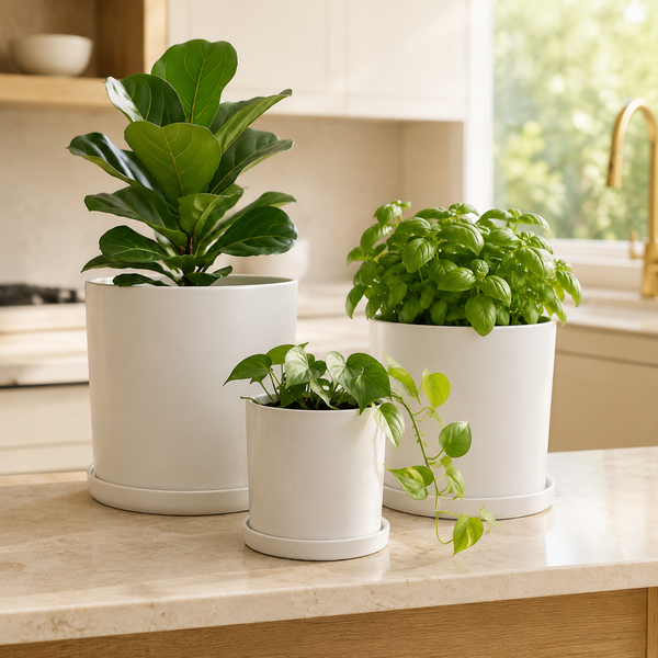 TIMOR CYLINDER MATT WHITE PLANTER