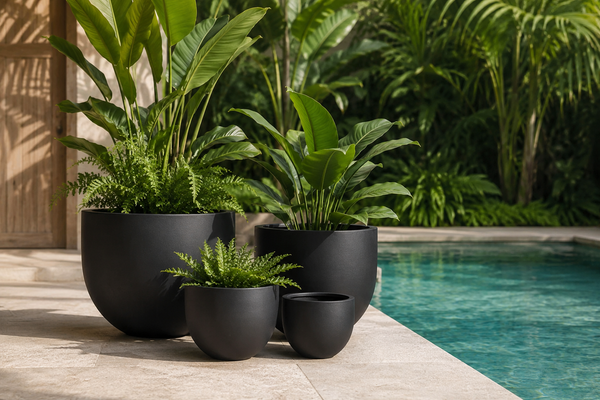 HOIAN EGG BLACK POT
