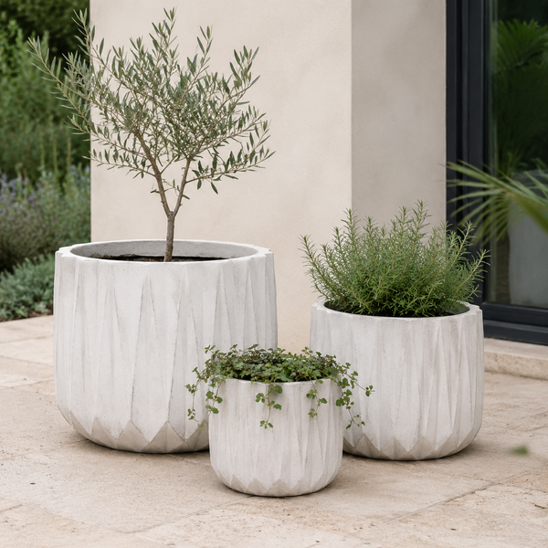 INDIE PLANTER IVORY