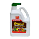 SEASOL CONCENTRATE - Sydney's Plant Market