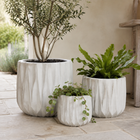 INDIE PLANTER OLIVE